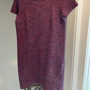 Loft Knit Shift Dress